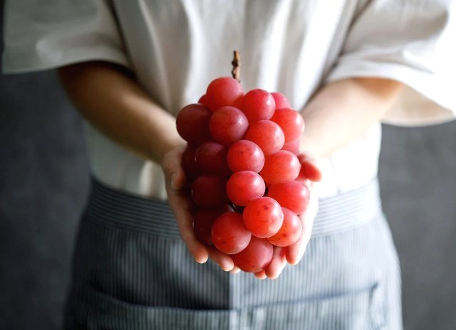   Simak beberapa buah dengan harga yang fantastis! (Foto: Dok. Bazaar)