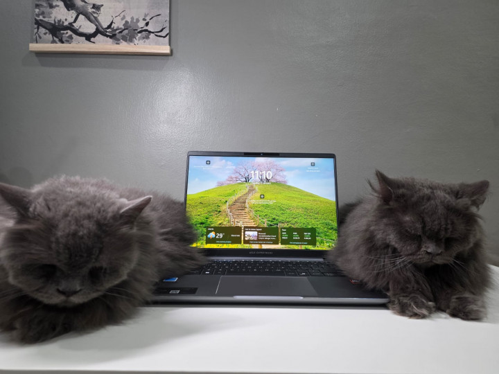 Asus ExpertBook P3, Tahan Banting dan Optimal