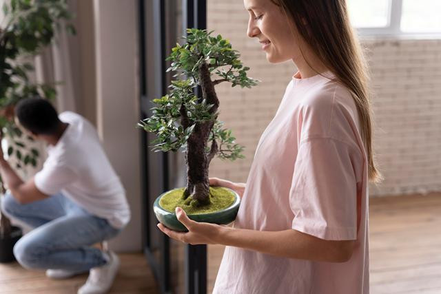 Rekomendasi tanaman bonsai depan rumah. Foto: Freepik