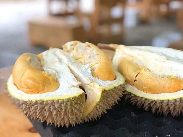 Durian Musang King: Buah Mewah Asia Tenggara Jadi Simbol Status