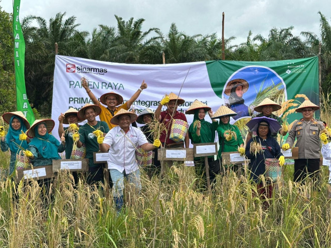 Panen raya perdana padi gogo di Desa Pangkal Beras, Bangka Barat