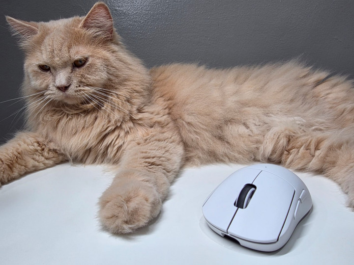 Logitech G Pro X Superlight 2c, Bukti Masuk Era Mouse Compact