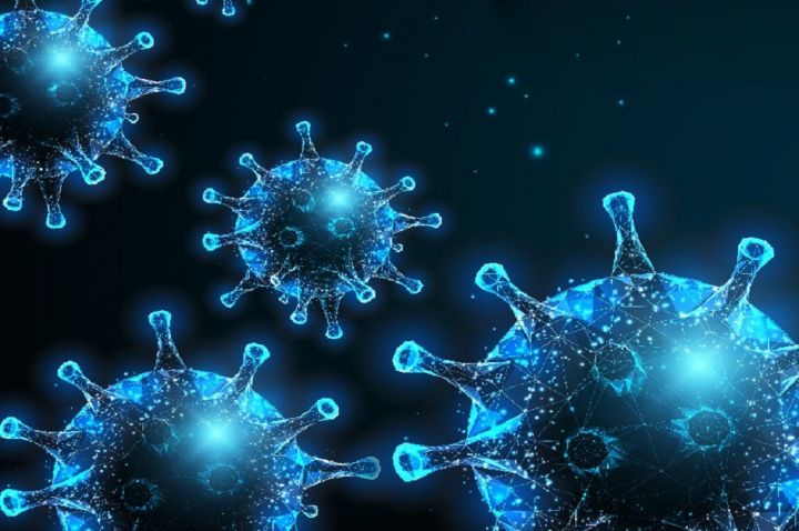 Virus Nipah Merebak di India, Kemenlu Pastikan Tidak Ada WNI yang Terjangkit
