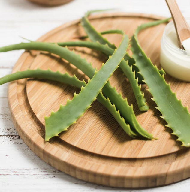 Bye Flek Hitam! Rekomendasi Skincare Lidah Buaya yang Bikin Kulit Lebih Lembap dan Tenang