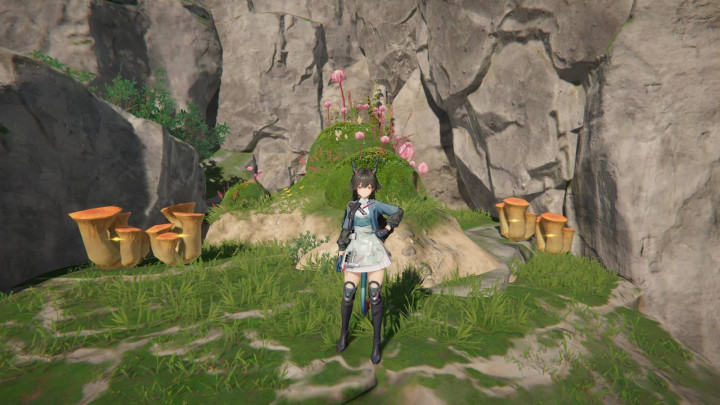 Cara Mendapatkan dan Menggunakan Red Bolete di Arknights Endfield