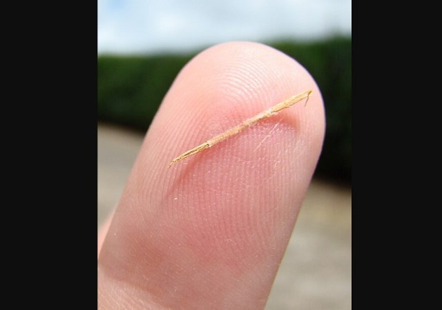 3 Berita Terpopuler Gaya: Drama Anak Kesusupan Serpihan Kayu Hingga Luxcrime