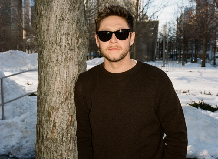 Niall Horan Siap Rilis Album Baru Tahun Ini