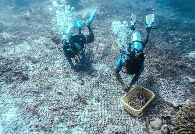 Wamenpar Spill Rahasia Biar Wisata Indonesia Gak Kalah Saing di Mata Dunia