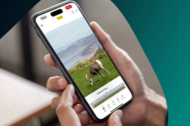 Cara Mengubah Live Photos Menjadi Video di iPhone dengan Mudah