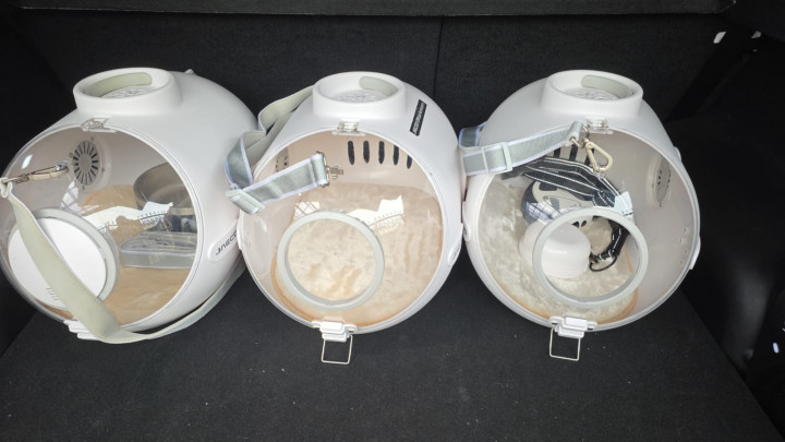 Teknologi Canggih, Jaecoo J5 Juga Jadi SUV Listrik Pet Friendly, Alasannya?