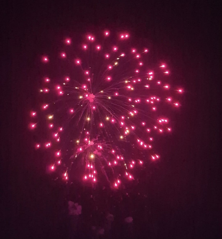 Cuma di Disney Adventure! Intip Keseruan Pesta Kembang Api 'The Lion King' di Tengah Laut