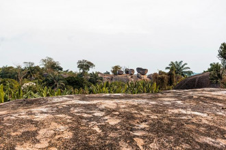 Tanah Terlantar Bisa Disita Negara, Ini Aturan dan Cara