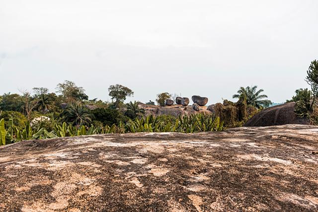 Ilustrasi tanah. Foto: Freepik