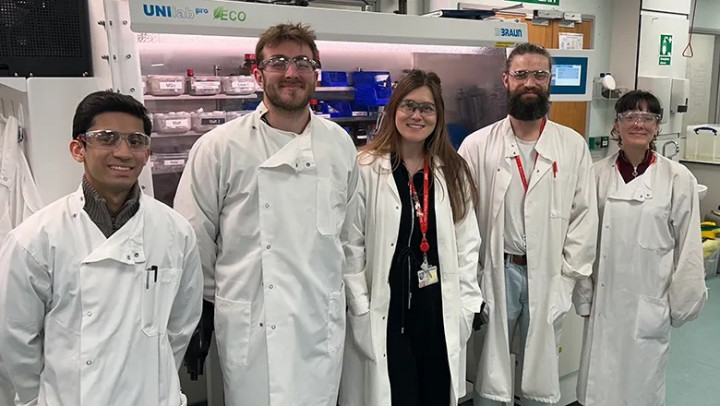 Ilmuwan Temukan Bentuk Baru Aluminium yang Lebih Murah dan Ramah Lingkungan