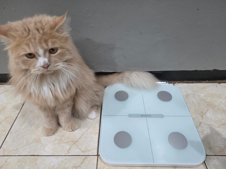 Review MODENA Smart Body Scale CA 1210 ITWA, Timbangan Pintar Bikin Cepat Kurus