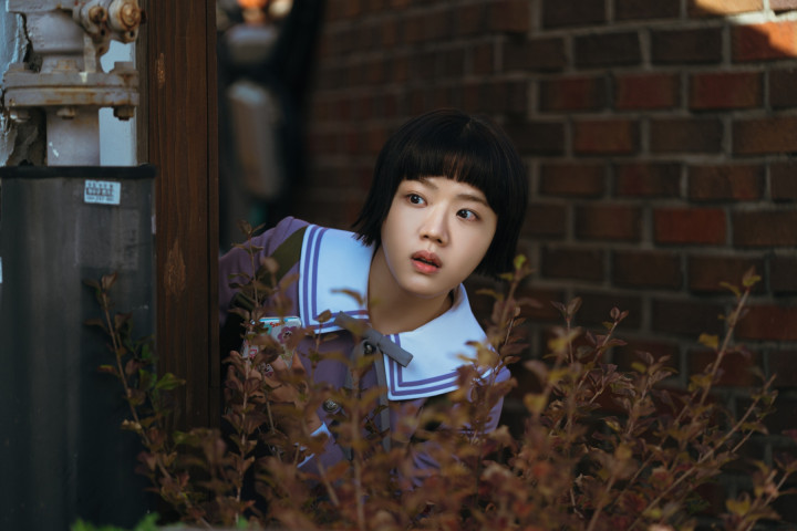 <i>Absolute Value of Romance</i>: Jadwal Tayang, Pemain, dan Sinopsisnya