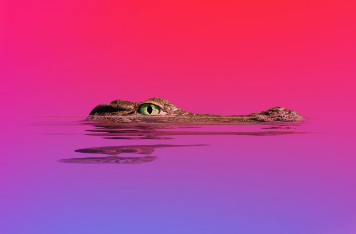 Waspada! Malware Infostealer Incar Developer AI Pakai Iklan Palsu Claude Code