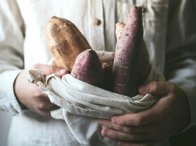  Semua ubi rambat adalah ubi jalar, tetapi tidak semua ubi jalar memiliki karakteristik tekstur dan rasa yang sama. (Foto: Ilustrasi/Dok. Unsplash.com)