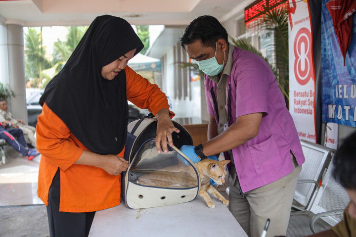Cegah Rabies, 45 Ribu Hewan Penular Rabies Divaksin