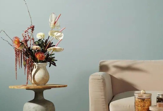 Tren Warna Rumah 2026, Ciptakan Suasana Nyaman di Hunian