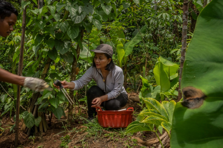 PepsiCo dan National Geographic Soroti Inovasi Pertanian Berbasis AI dari Indonesia