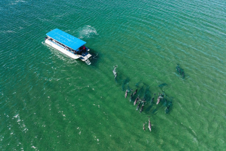 Mending ke Sini! 5 Cara Nikmatin South West Australia Biar Gak Rugi Pas Lagi Trip