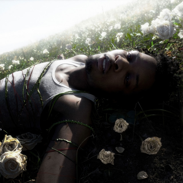 Musisi D4vd Ditangkap Imbas Kasus Pembunuhan Remaja