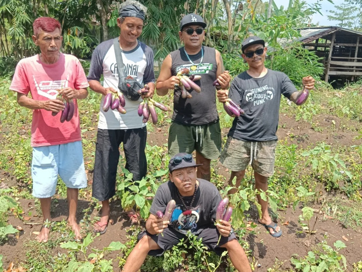 Dulu Tak Punya Arah, Kini Petani Punk Gunung Kidul Bangun Masa Depan dari Sawah