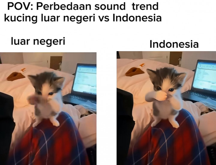 Lagi Viral Tren Kicau Mania Vs Scuba Dance di TikTok, Kamu Tim Mana?