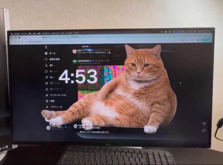 Cat Gatekeeper, Ekstensi Browser yang Paksa Kamu Berhenti Scroll Medsos Pakai Kucing Gemoy