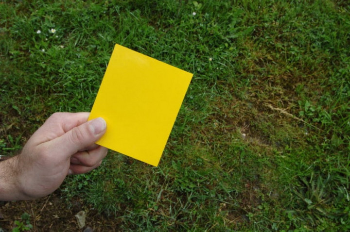 BEM SI Kerakyatan Beri Kartu Kuning ke Kemendiktisaintek, Ini Tuntutannya