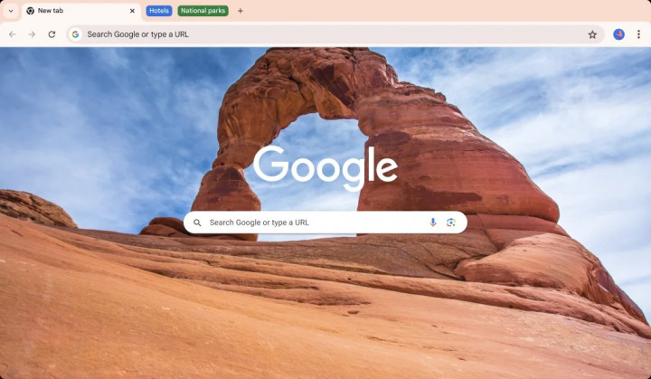 Google Chrome Diduga Download Model AI 4GB Gak Ngomong-Ngomong?