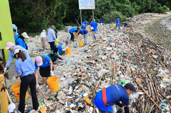 Kurangi Efek Pemanasan Global, AXA Financial Bersih Pantai di Pulau Damar