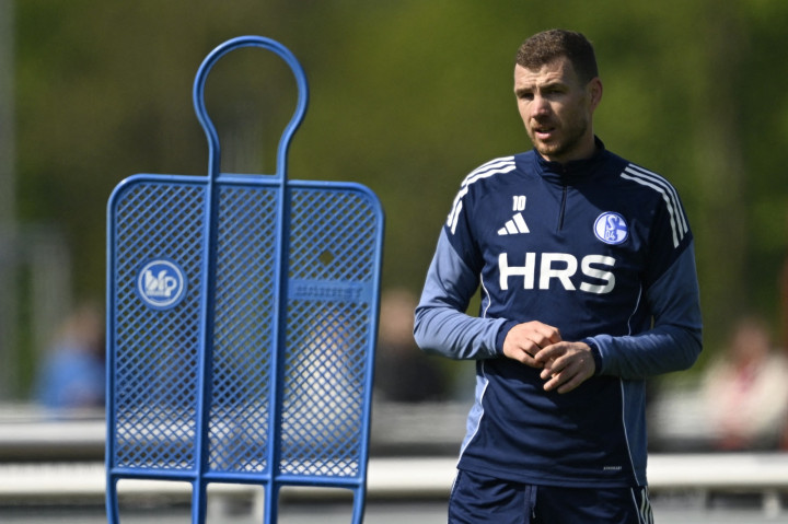 Edin Dzeko Bujuk Tarik Muharemovic Merapat ke Inter Milan