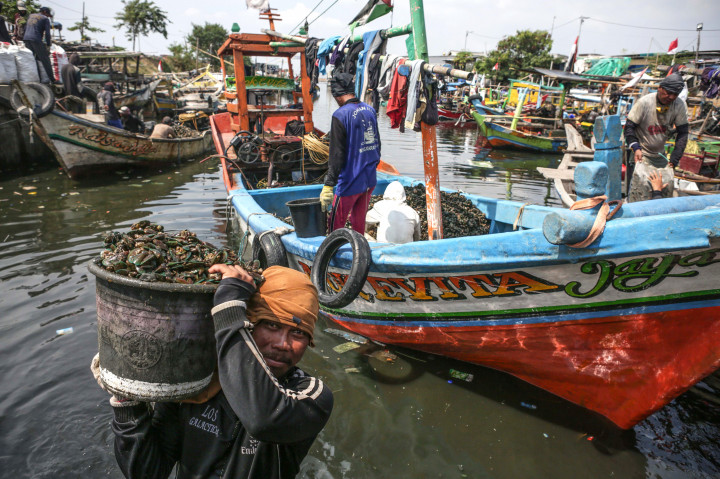 Aktivitas Nelayan Kerang Hijau di Pesisir Cilincing