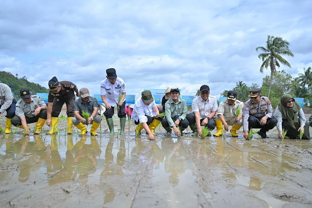Pemulihan Sawah Terdampak Makin Cepat, 2.000 Hektare Pulih dalam 2 Pekan