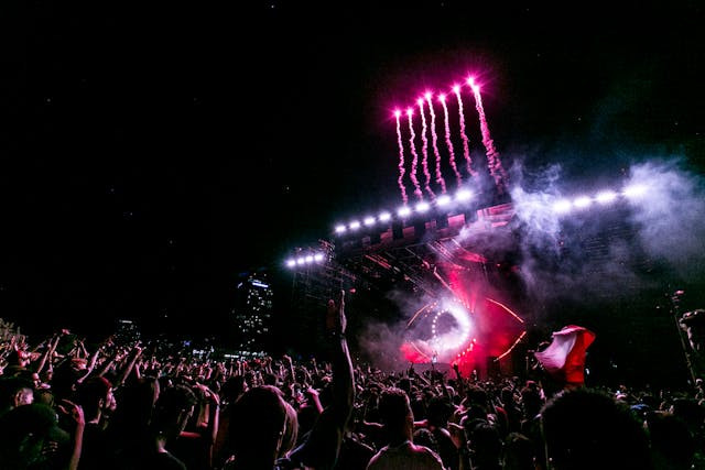 Disney+ Bakal Tayangkan Lollapalooza hingga Austin City Limits Secara Global