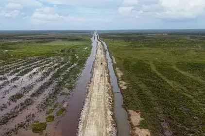 Cetak Sawah 1 Juta Hektare di Wanam Jadi Kunci Masa Depan Pangan RI