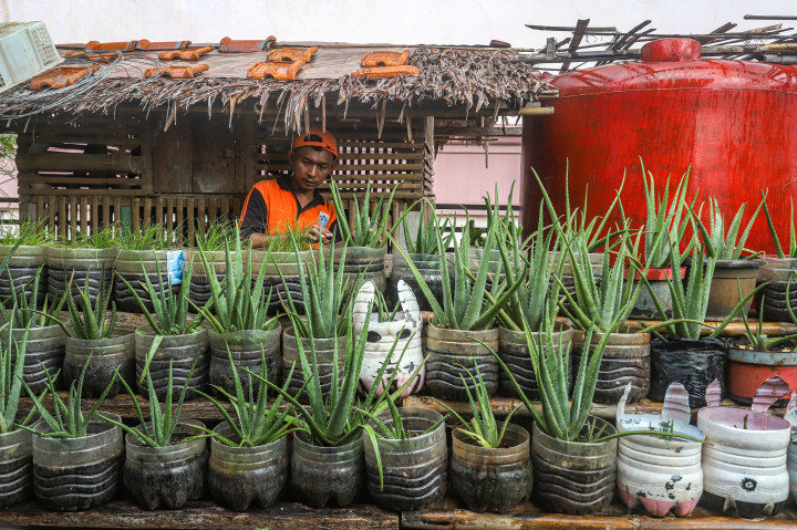 Potret Kebun Urban Farming di Tengah Kota Jakarta