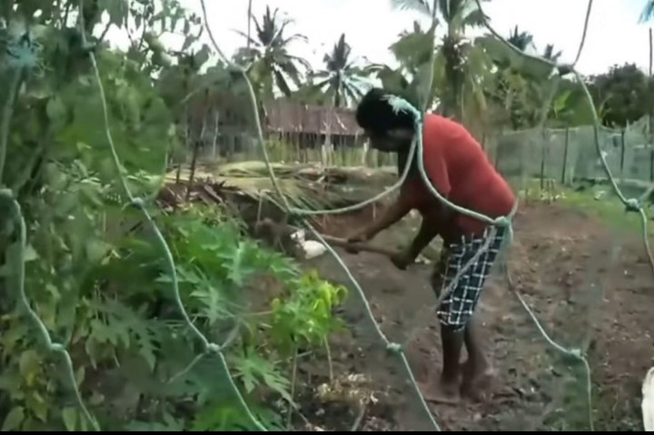 Harapan Baru Warga Adat pada Program Pembangunan di Papua Selatan