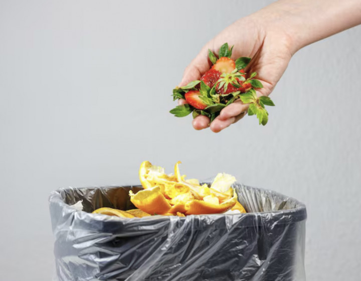 63 Persen Sampah di TPA Organik, Indonesia Mulai Gerak Kurangi Metana