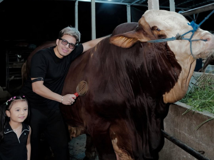 6 Artis yang Berkurban Sapi Jumbo di Iduladha 2026, Intip Nama-Nama Uniknya