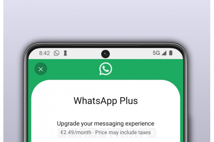 WhatsApp Plus dan WhatsApp Gratis, Apa Bedanya?