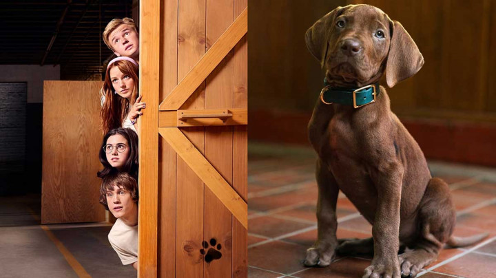 Scooby-Doo Jadi Serial Live-Action Netflix, Tayang Perdana pada 2027