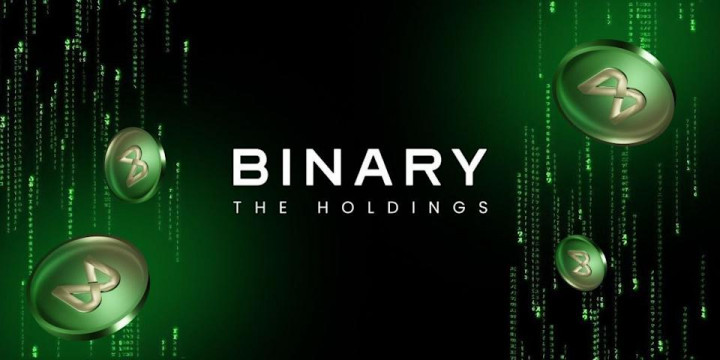 The Binary Holdings Bidik Potensi  Tersembunyi di Negara Berkembang Lewat Platform OneWave