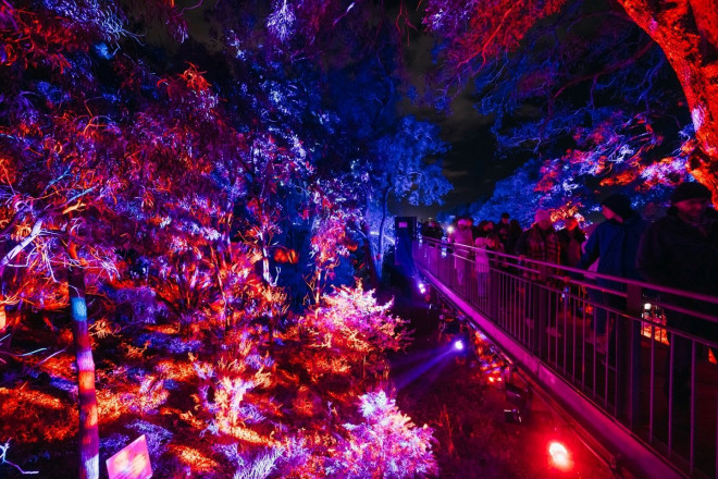 Lightscape Perth 2026 di Kings Park (Foto: dok.Ist)