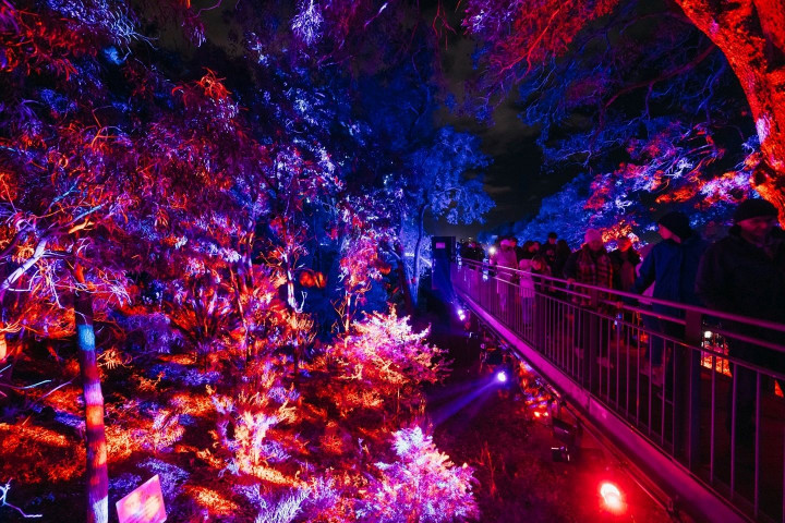 Sayang Dilewatkan! Lightscape Perth 2026 Sulap Kings Park Jadi Penuh Cahaya dan Keajaiban