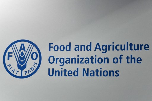 Mentan: Indonesia Sudah Penuhi Kriteria Swasembada Pangan Menurut Standar FAO