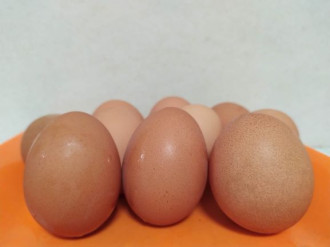 Kenapa Harga Telur Ayam Ukuran Besar Lebih Murah? Ini Penjelasan