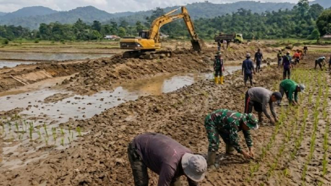 Upaya pemulihan lahan pertanian terdampak bencana di Aceh, Sumatera Utara, dan Sumatera Barat. Foto: Istimewa, 